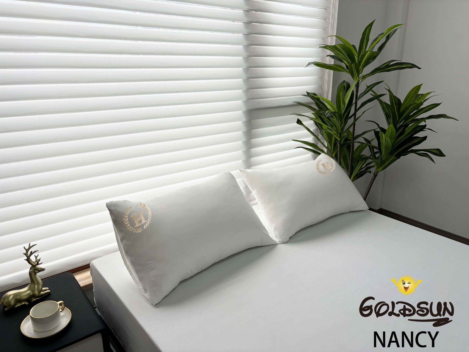 WhatsApp Image 2025-09-05 at 11.10.05 AM